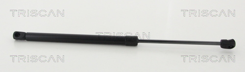 TRISCAN Gasfeder, Koffer-/Laderaum