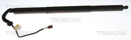 TRISCAN Gasfeder, Koffer-/Laderaum