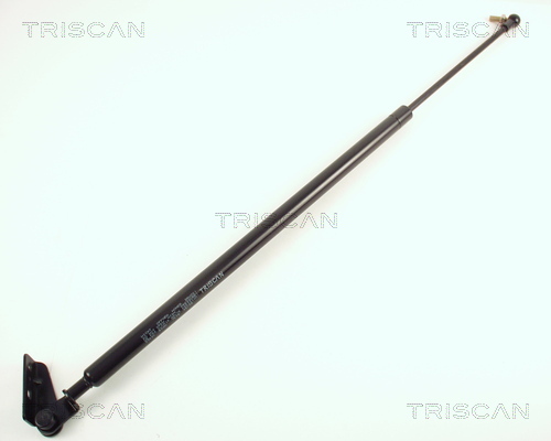 TRISCAN Gasfeder, Koffer-/Laderaum