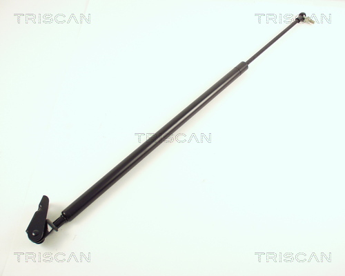 TRISCAN Gasfeder, Koffer-/Laderaum
