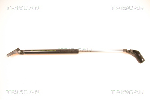 TRISCAN Gasfeder, Koffer-/Laderaum