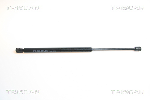 TRISCAN Gasfeder, Koffer-/Laderaum