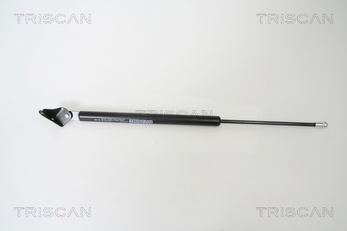 TRISCAN Gasfeder, Koffer-/Laderaum
