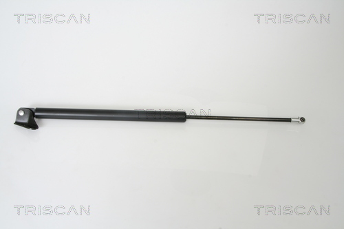 TRISCAN Gasfeder, Koffer-/Laderaum