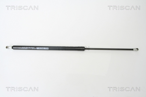TRISCAN Gasfeder, Koffer-/Laderaum
