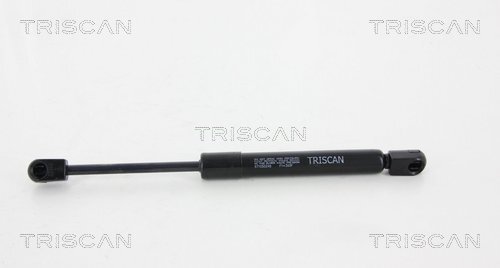 TRISCAN Gasfeder, Koffer-/Laderaum