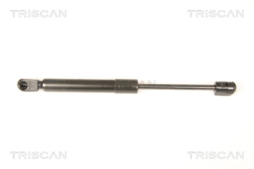 TRISCAN Gasfeder, Koffer-/Laderaum