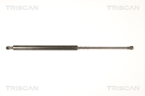 TRISCAN Gasfeder, Koffer-/Laderaum