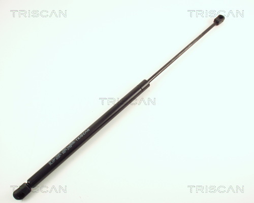 TRISCAN Gasfeder, Koffer-/Laderaum