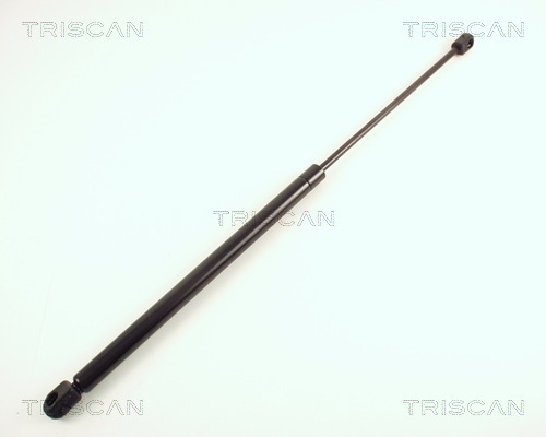TRISCAN Gasfeder, Koffer-/Laderaum