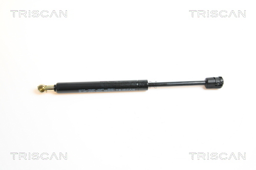TRISCAN Gasfeder, Koffer-/Laderaum