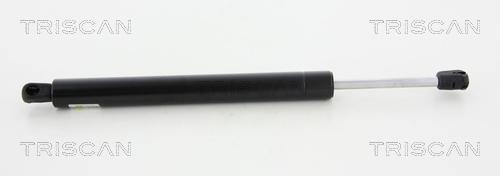 TRISCAN Gasfeder, Koffer-/Laderaum