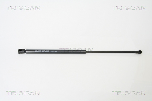 TRISCAN Gasfeder, Koffer-/Laderaum