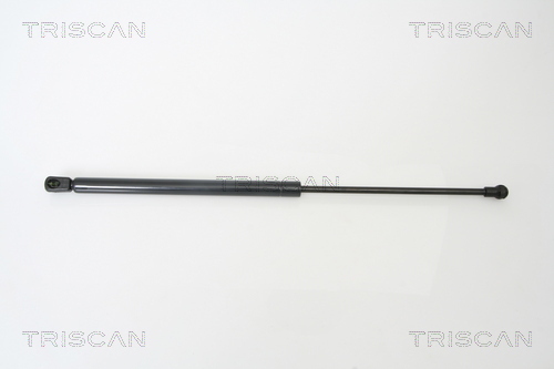 TRISCAN Gasfeder, Koffer-/Laderaum