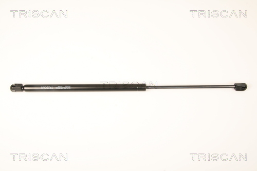 TRISCAN Gasfeder, Koffer-/Laderaum