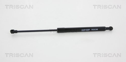 TRISCAN Gasfeder, Koffer-/Laderaum