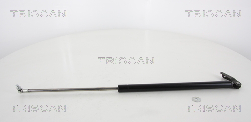 TRISCAN Gasfeder, Koffer-/Laderaum