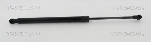 TRISCAN Gasfeder, Koffer-/Laderaum