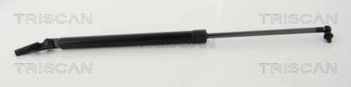 TRISCAN Gasfeder, Koffer-/Laderaum