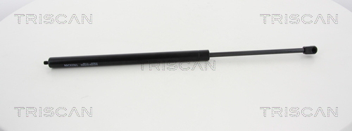TRISCAN Gasfeder, Koffer-/Laderaum