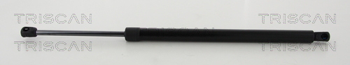 TRISCAN Gasfeder, Koffer-/Laderaum
