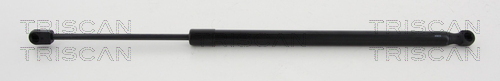 TRISCAN Gasfeder, Koffer-/Laderaum