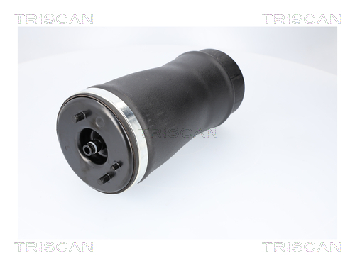 TRISCAN Luftfeder, Fahrwerk