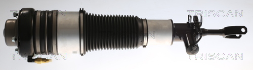 TRISCAN Luftfederbein
