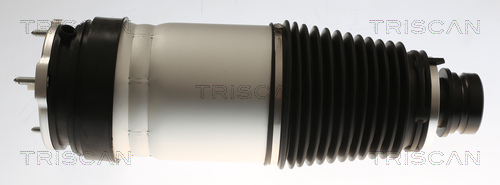 TRISCAN Luftfeder, Fahrwerk