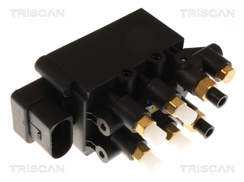 TRISCAN Kompressor, Druckluftanlage