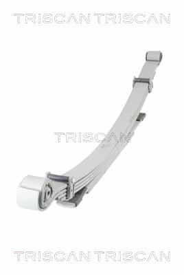 TRISCAN Federnpaket
