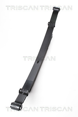 TRISCAN Federnpaket