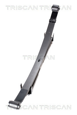 TRISCAN Federnpaket