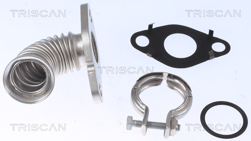 TRISCAN Rohrleitung, AGR-Ventil