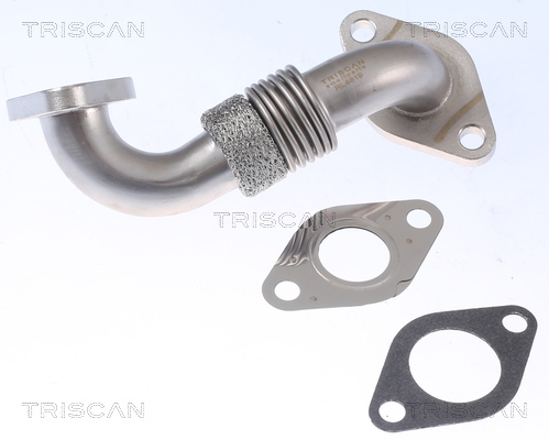 TRISCAN Rohrleitung, AGR-Ventil