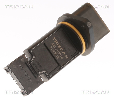 TRISCAN Luftmassenmesser