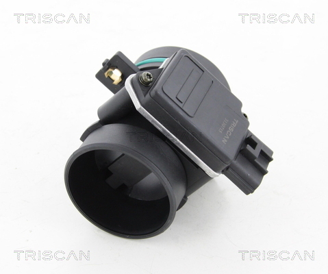 TRISCAN Luftmassenmesser