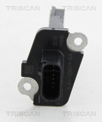 TRISCAN Luftmassenmesser