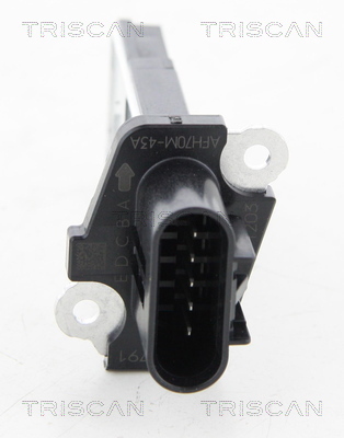 TRISCAN Luftmassenmesser