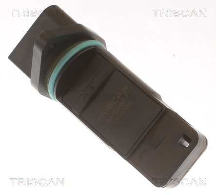 TRISCAN Luftmassenmesser