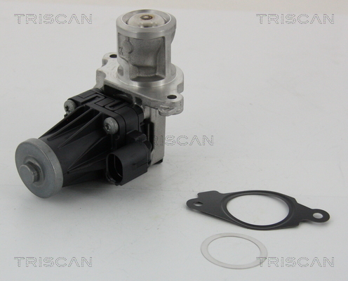 TRISCAN AGR-Ventil