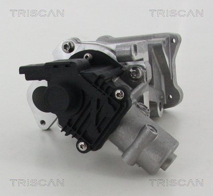 TRISCAN AGR-Ventil