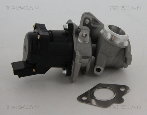 TRISCAN AGR-Ventil