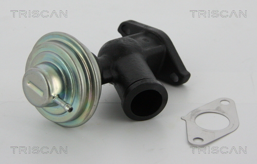 TRISCAN AGR-Ventil