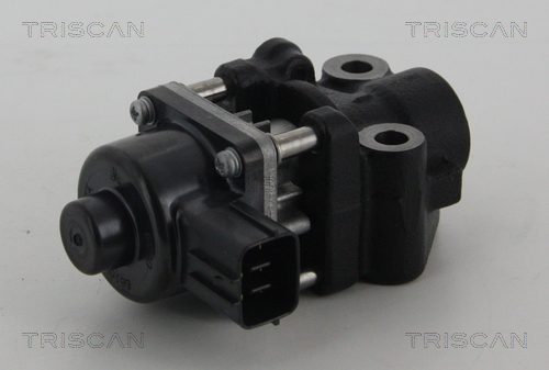 TRISCAN AGR-Ventil