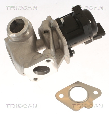 TRISCAN AGR-Ventil