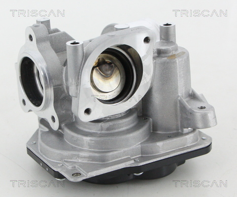 TRISCAN AGR-Ventil