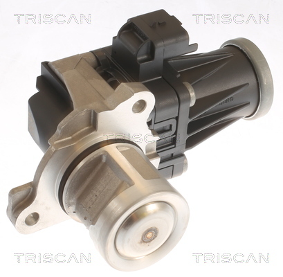 TRISCAN AGR-Ventil