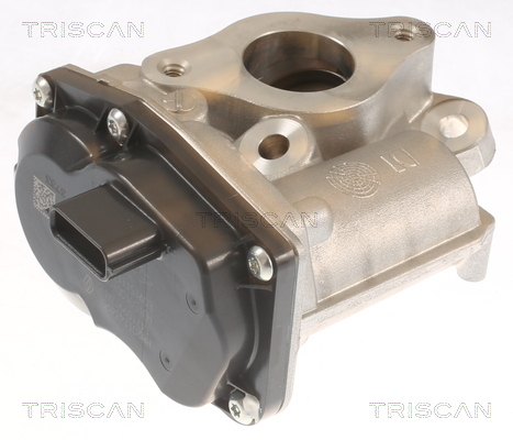 TRISCAN AGR-Ventil