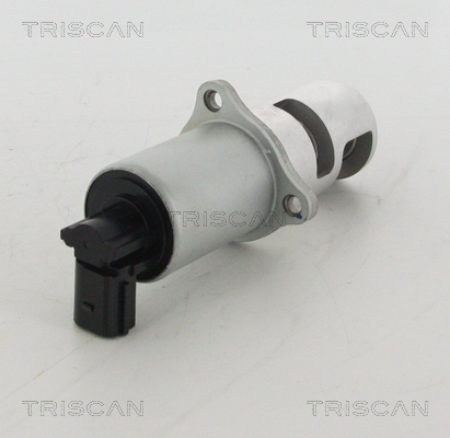 TRISCAN AGR-Ventil